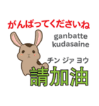 ウサギの毎日 日本語台湾語（個別スタンプ：5）