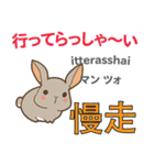 ウサギの毎日 日本語台湾語（個別スタンプ：8）
