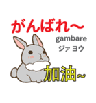 ウサギの毎日 日本語台湾語（個別スタンプ：9）