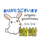 ウサギの毎日 日本語台湾語（個別スタンプ：13）