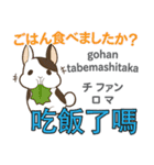 ウサギの毎日 日本語台湾語（個別スタンプ：15）