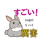 ウサギの毎日 日本語台湾語（個別スタンプ：16）