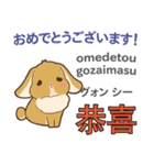 ウサギの毎日 日本語台湾語（個別スタンプ：17）