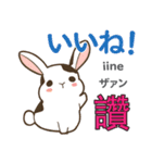 ウサギの毎日 日本語台湾語（個別スタンプ：21）