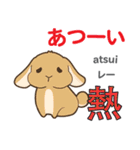 ウサギの毎日 日本語台湾語（個別スタンプ：26）