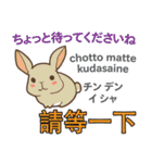 ウサギの毎日 日本語台湾語（個別スタンプ：27）