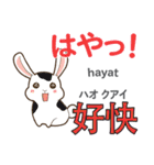 ウサギの毎日 日本語台湾語（個別スタンプ：31）
