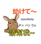 ウサギの毎日 日本語台湾語（個別スタンプ：35）