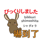 ウサギの毎日 日本語台湾語（個別スタンプ：36）
