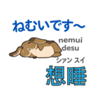 ウサギの毎日 日本語台湾語（個別スタンプ：37）
