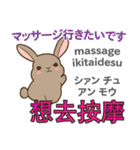ウサギの毎日 日本語台湾語（個別スタンプ：38）