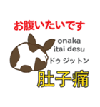 ウサギの毎日 日本語台湾語（個別スタンプ：39）
