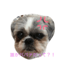 シープーと仲間たち（個別スタンプ：2）