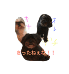 シープーと仲間たち（個別スタンプ：6）