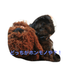 シープーと仲間たち（個別スタンプ：7）