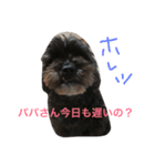 シープーと仲間たち（個別スタンプ：8）