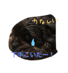 シープーと仲間たち（個別スタンプ：10）