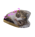 hesling（個別スタンプ：1）