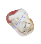 hesling（個別スタンプ：2）