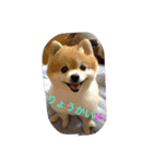 hesling（個別スタンプ：3）