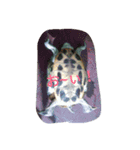 hesling（個別スタンプ：5）