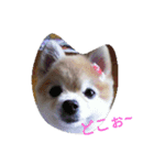 hesling（個別スタンプ：6）