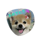 hesling（個別スタンプ：8）