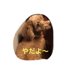 毎日チョコ（個別スタンプ：3）