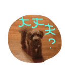 毎日チョコ（個別スタンプ：7）