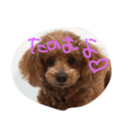 毎日チョコ（個別スタンプ：13）