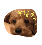 毎日チョコ（個別スタンプ：17）