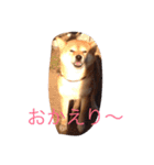 うわさのあんず（個別スタンプ：8）