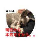 シュナ夫婦だよ‼️（個別スタンプ：11）