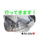 シュナ夫婦だよ‼️（個別スタンプ：13）
