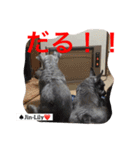 シュナ夫婦だよ‼️（個別スタンプ：21）
