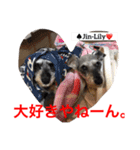 シュナ夫婦だよ‼️（個別スタンプ：25）