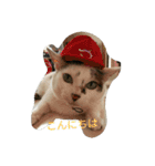 ミクさん(よく使う言葉)（個別スタンプ：14）