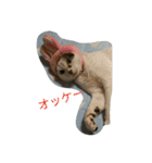 ミクさん(よく使う言葉)（個別スタンプ：16）