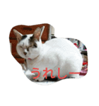 ミクさん(よく使う言葉)（個別スタンプ：30）
