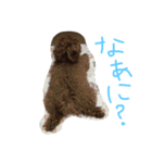 ロイ（個別スタンプ：6）