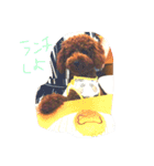 ロイ（個別スタンプ：8）