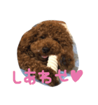 ロイ（個別スタンプ：12）