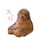 ロイ（個別スタンプ：13）