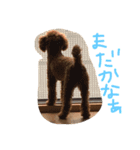 ロイ（個別スタンプ：14）