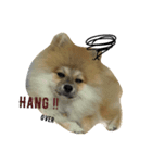 Enjoy tne fun of Mamoo（個別スタンプ：6）