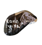 ポインター犬（個別スタンプ：16）