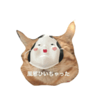 ネコ好き（個別スタンプ：8）