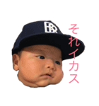 はるととぱぱ（個別スタンプ：8）
