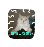 にゃんこの1日（個別スタンプ：5）