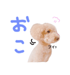 褒め上手うーちゃん（個別スタンプ：3）